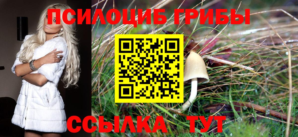 Галлюциногенные грибы мицелий Сыктывкар